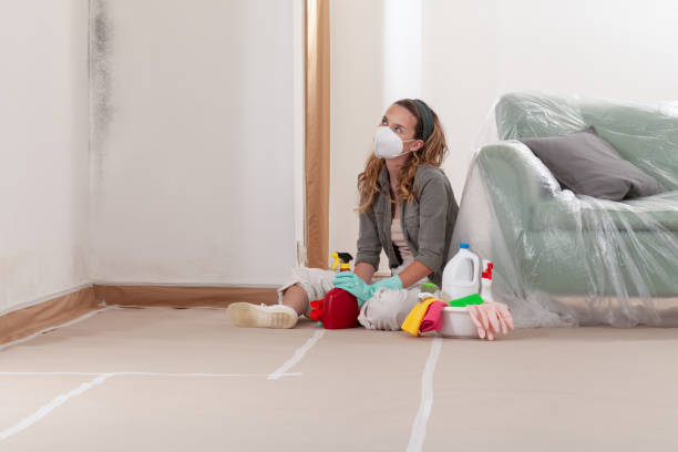 Reliable Mold Removal contractor in Hillsboro, TX by Mold Remediation HQ